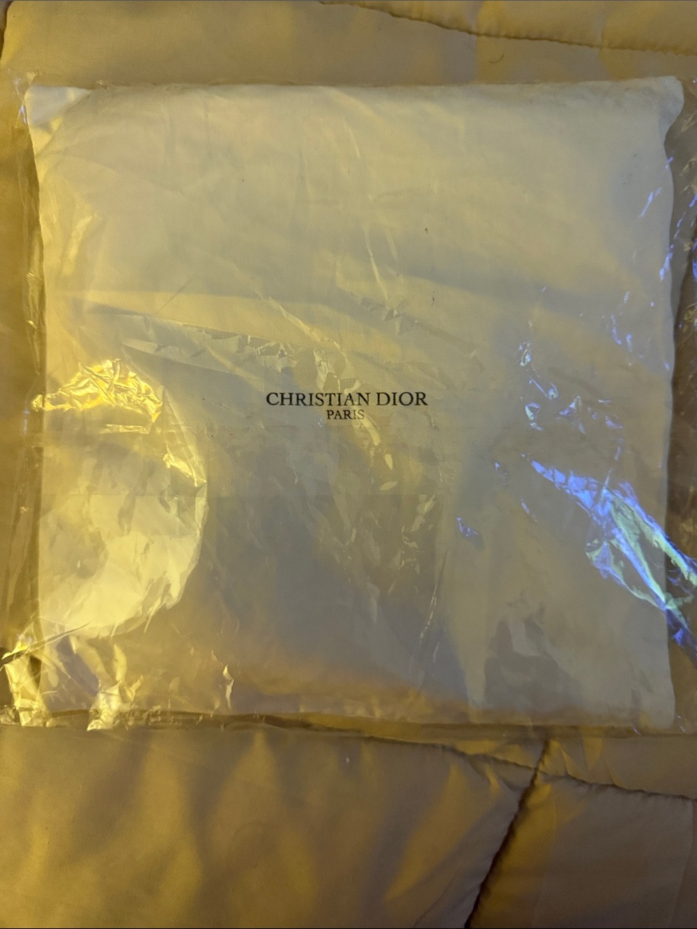 Authentic Christian Dior White Travel Pillow NIP
